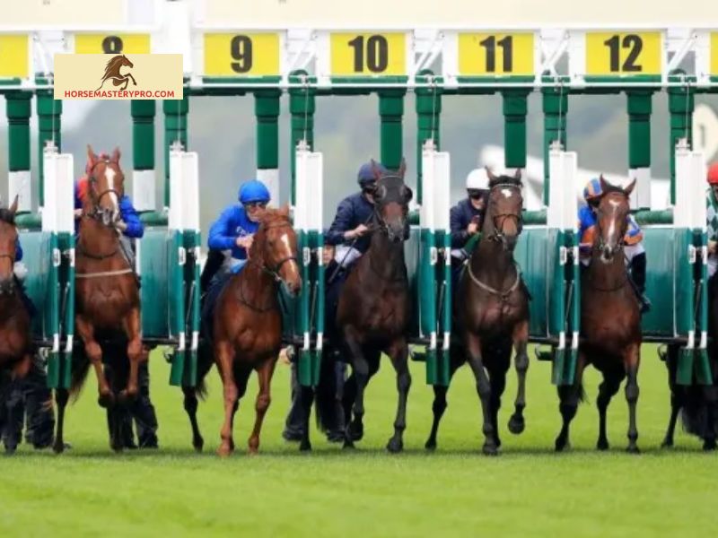 Importance of Horse Racing Tips