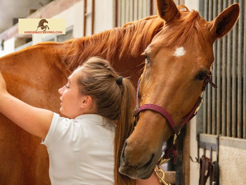 Preventive Health Care for Horses in New Zealand
