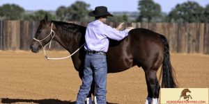 Horse Trainers Rope 5 Letters: Unleashing the Power of Precision