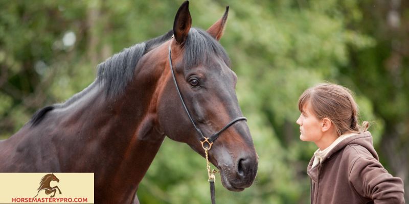 Understanding Abused Horse Behavior: Recognizing Signs and Impact