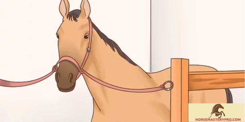 Tip Horse Training: Unlocking the Secrets to Successful Equine Education