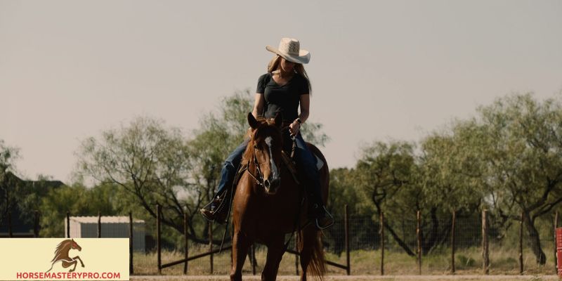 The Comfort Zone Horse Training: Expanding Boundaries for Optimal Results