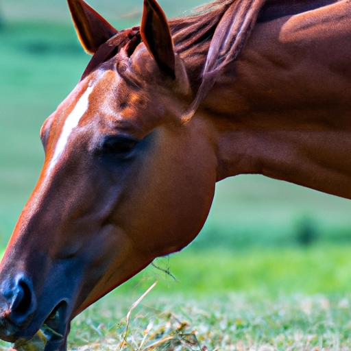 A chestnut horse breed gracefully moving with its distinct reddish-brown coat.