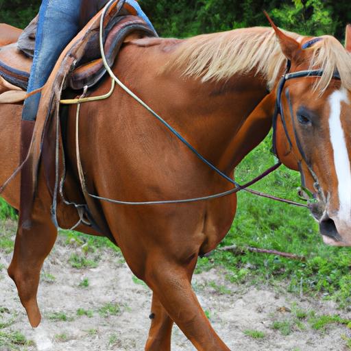 Get up close and personal with the American Quarter Horse, a top choice for barrel racing.