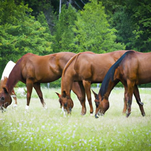 Articles On Horse Behavior