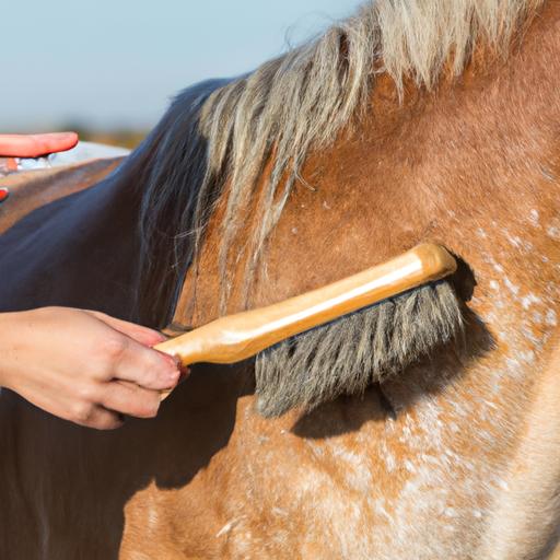 Brushing promotes blood circulation and relaxation in horses