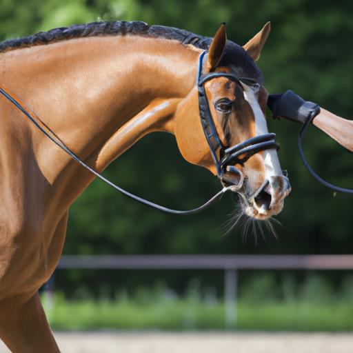 Proper grooming not only enhances the horse's appearance but also promotes its overall health and well-being.