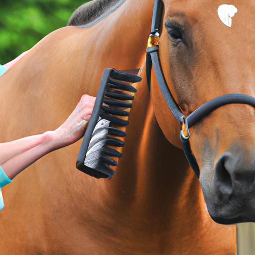 Best Quality Horse Grooming Brushes