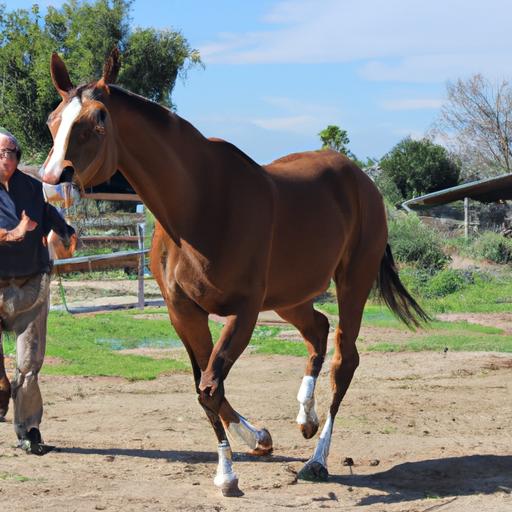 Experience the dedication and precision involved in training big lick horses to perfection.