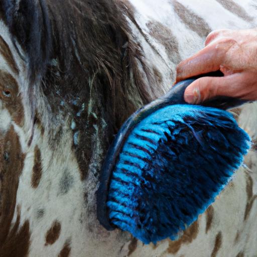 Effortlessly removing dirt and giving a shiny coat with the right body brush.