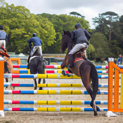 Change Of Ownership Horse Sport Ireland