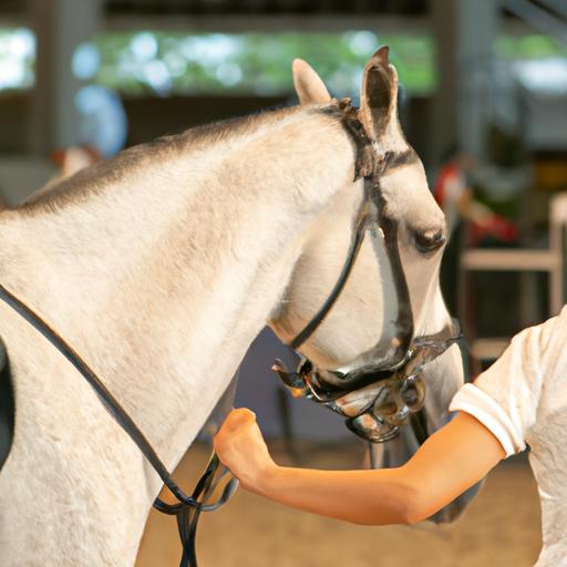 The impact of accurate NAICS code selection on horse training businesses.