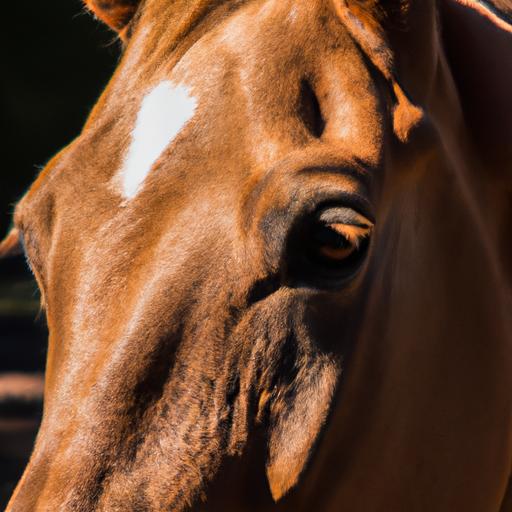 Intense gaze and slight head tossing of a horse captured up close