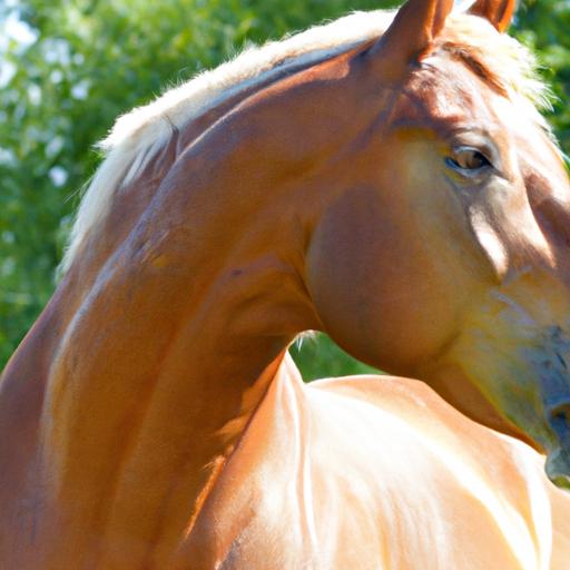 Admire the impressive physique and sheer strength of this strong horse breed.
