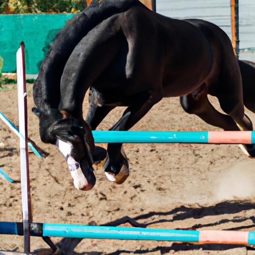 Understanding the concept of volte horse training and its positive impact on a horse's agility and flexibility.