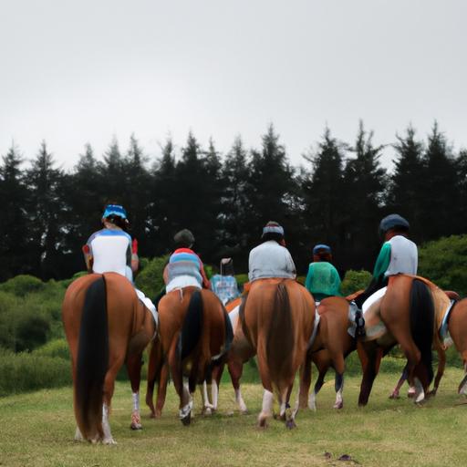 Contact Horse Sport Ireland