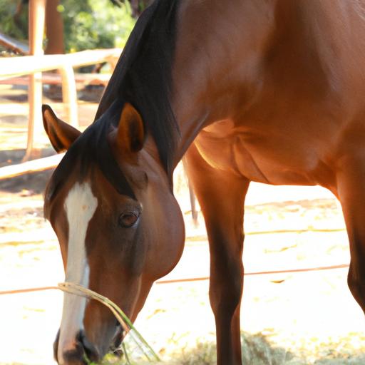 Experience the physical and behavioral attributes specific to native horse breeds.