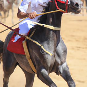 Egyptian Horse Sport
