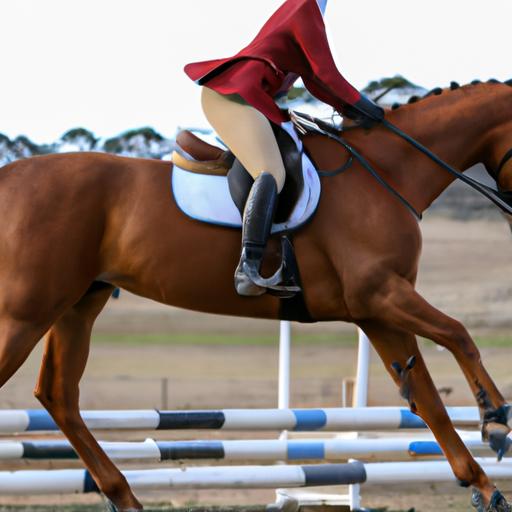 Experience the excitement and grace of dressage, show jumping, and eventing competitions in Victoria.