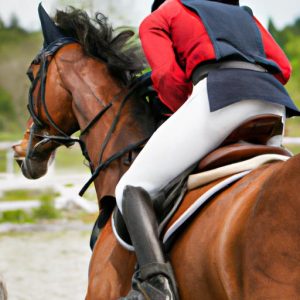 Equestrian Sport Or Not