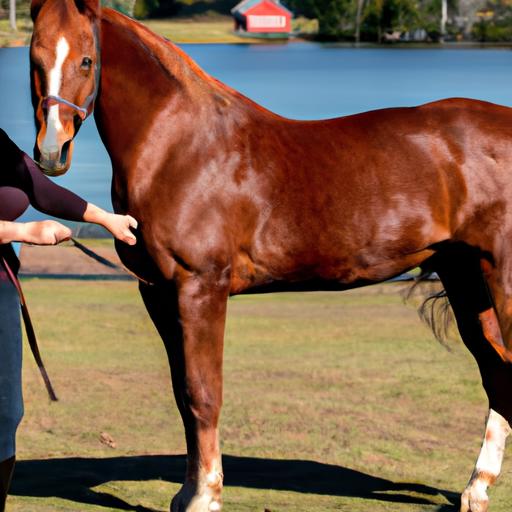 Establishing trust and respect through positive reinforcement is one of the key principles of ESI horse training.