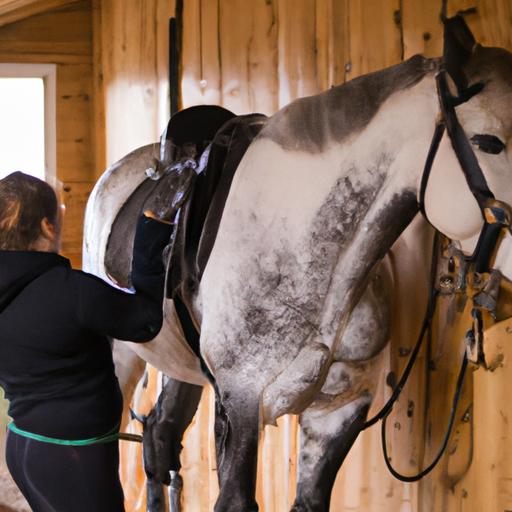Properly selected stable equipment creates a safe and comfortable haven for horses to thrive.