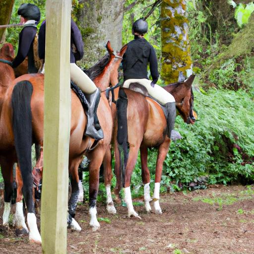 Experience the passion and dedication of riders as they develop their abilities alongside Fernhill Sport Horses.