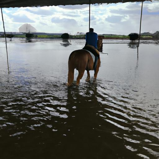 Flooding Horse Training