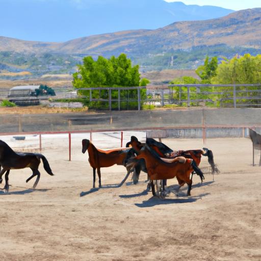 Discover the benefits of professional horse training at top-notch facilities in Utah