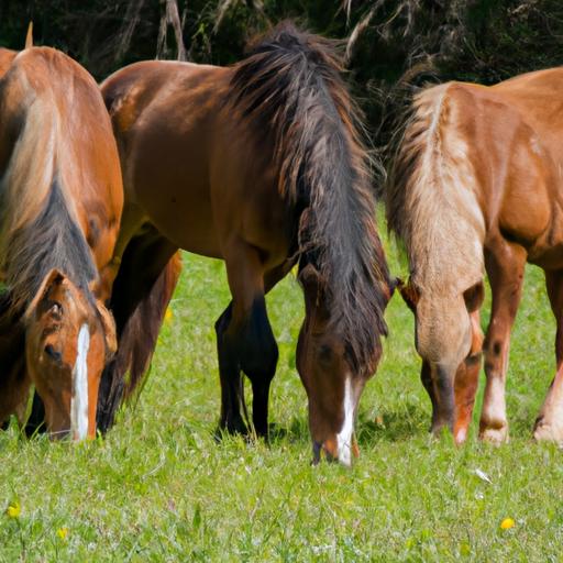 Horses socializing and feeding together in harmony.