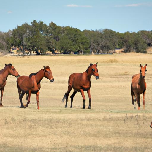 Grulla horses have played a vital role in different cultures and historical periods.