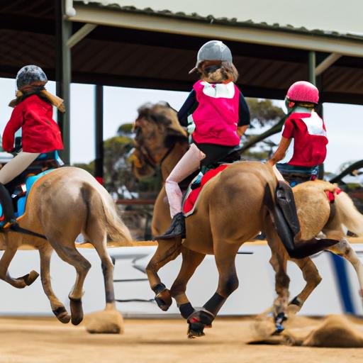 Hobby Horse Competition Australia