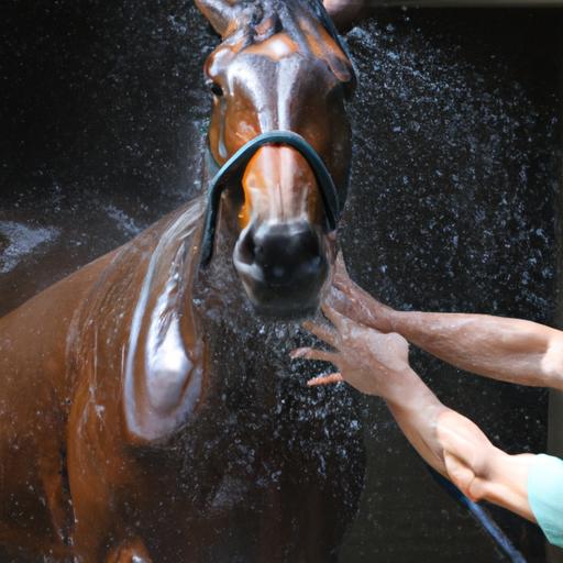 Bathing helps maintain the horse's cleanliness and reduces the risk of skin infections.