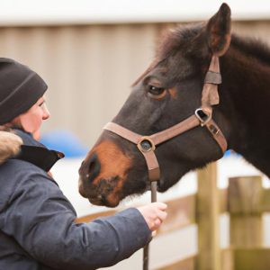 Horse Behaviour Therapist
