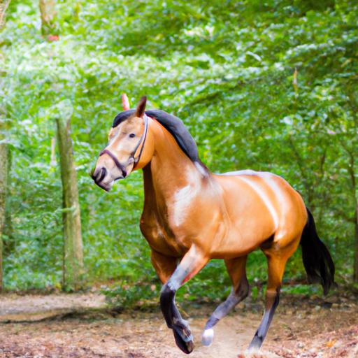 Horse Breeds For Hunting