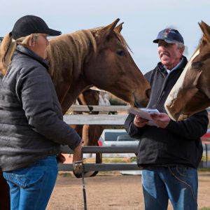 Horse Care Management Salary