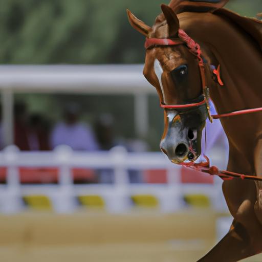 Fuel your equestrian dreams with awe-inspiring performances and remarkable horsemanship.