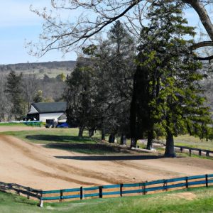 Horse Competition Yards