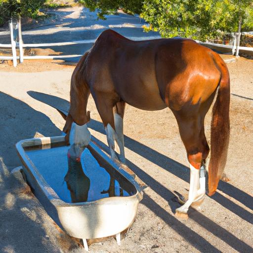 A horse quenching its thirst from a clean and sturdy water trough.
