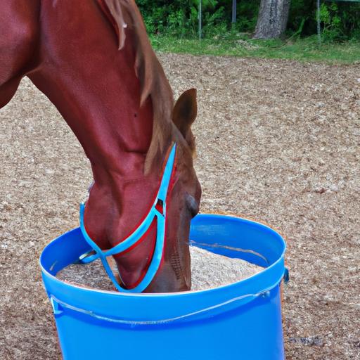 A horse happily eating from a feed bucket filled with nutritious food.