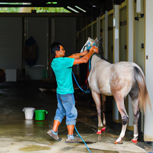 Horse Groomer Jobs Singapore