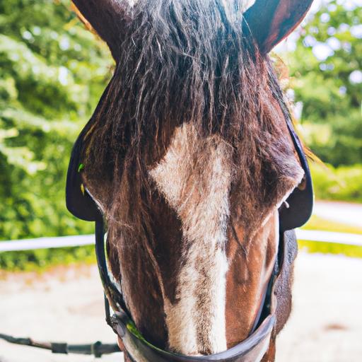 Grooming plays a vital role in maintaining a horse's health and appearance.
