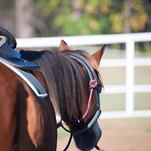 Leading a horse with a halter and lead rope is an essential part of horse training 101.