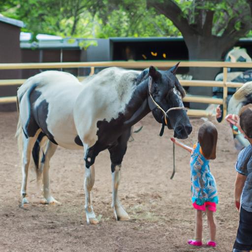 Horse Sense Training And Petting Zoo
