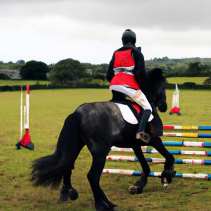 Horse Sport Ireland Contact