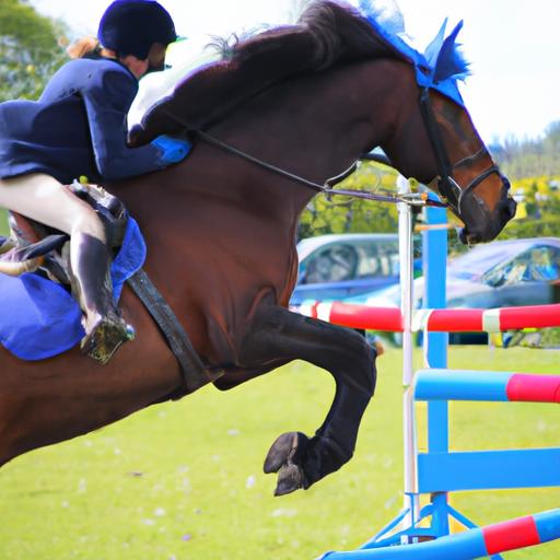 Horse Sport Ireland Facebook
