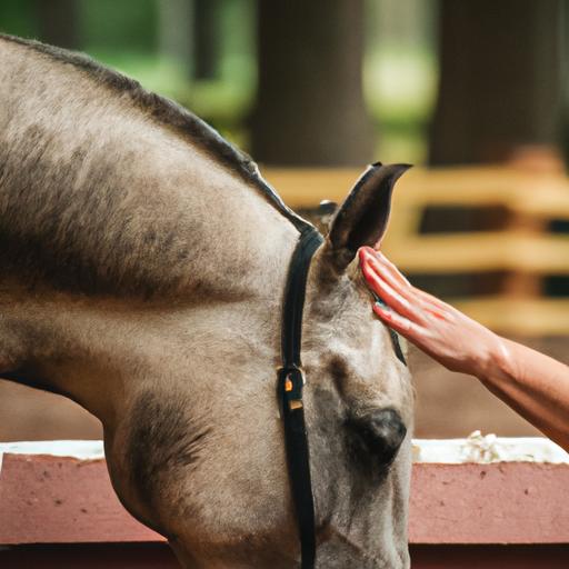 Identifying stress and anxiety in horses through their body language