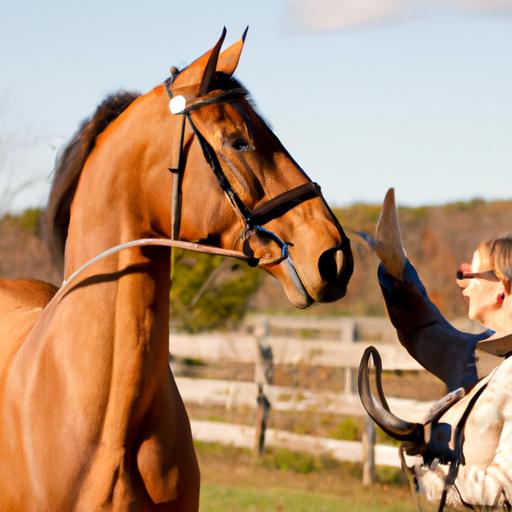 Horse Training Commands