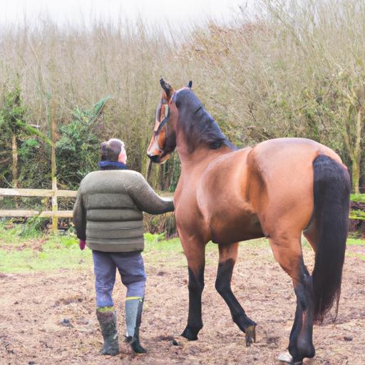 Horse Training Fees Ireland