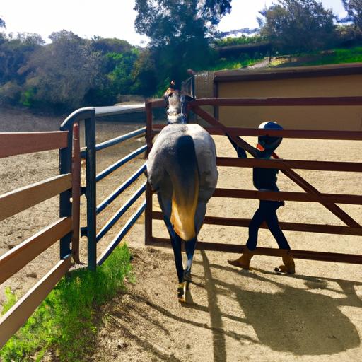 A skilled rider and their horse working together to navigate a training gate with precision.